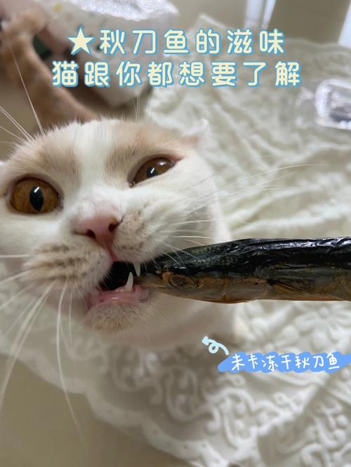 小猫喜欢吃鱼是可能还是一定，小猫非常喜欢吃鱼