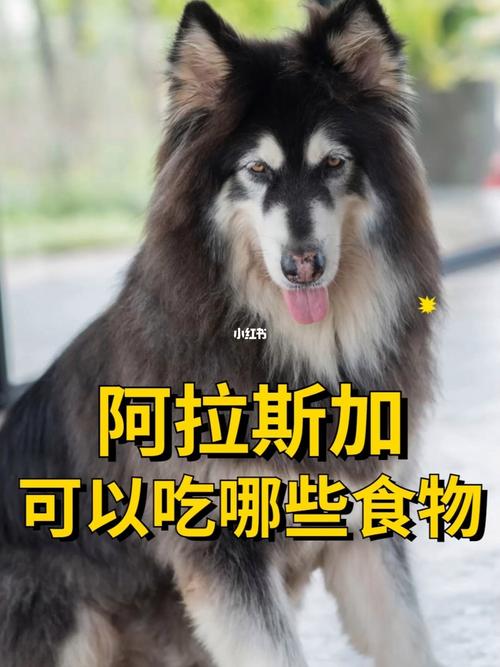 阿拉斯加犬禁忌的食物是什么，阿拉斯加不可以吃的东西