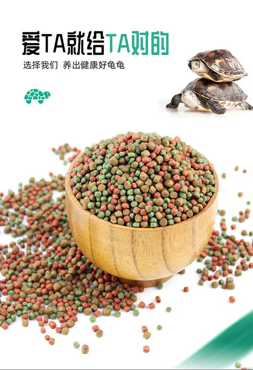 巴西龟怎么养吃什么饲料，巴西龟怎么养吃什么的