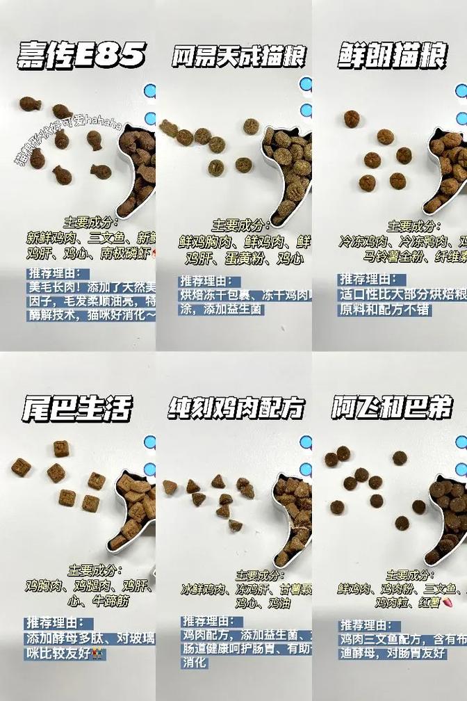 布偶猫猫粮选购方法介绍，布偶猫猫粮选购方法介绍视频