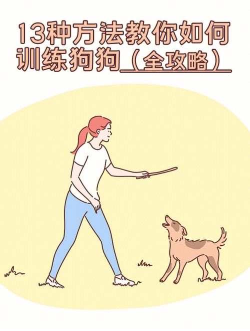 如何训练边境牧羊犬咬人，怎么训练边境牧羊犬不咬人