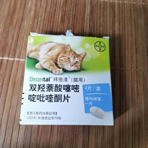 折耳猫拉稀了怎么办，折耳蓝猫拉肚子吃什么药