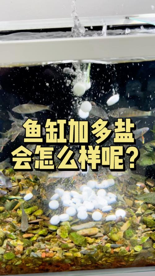 养鱼用盐怎么添加?，养鱼 加盐