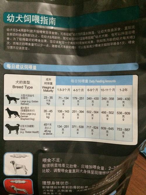 拉布拉多幼犬一天几顿，拉布拉多幼犬一天喂多少狗粮