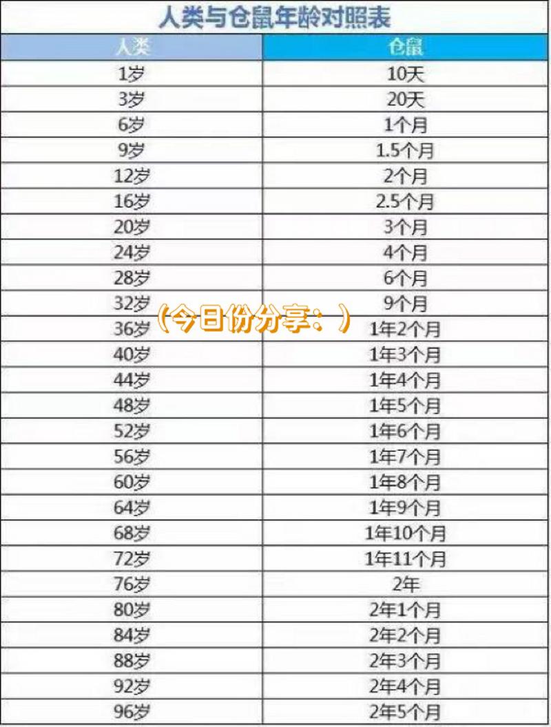 仓鼠的寿命?，仓鼠的寿命有几年时间