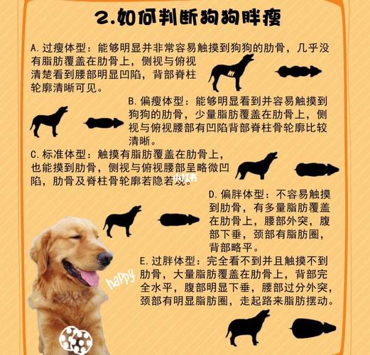 秋田犬各阶段体重是多少斤，秋田犬标准身高体重