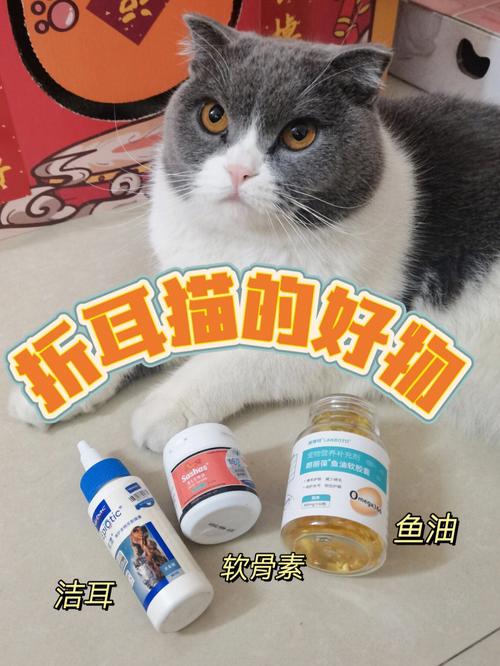 折耳猫能吃鱼干吗，折耳猫可以喂鱼吗