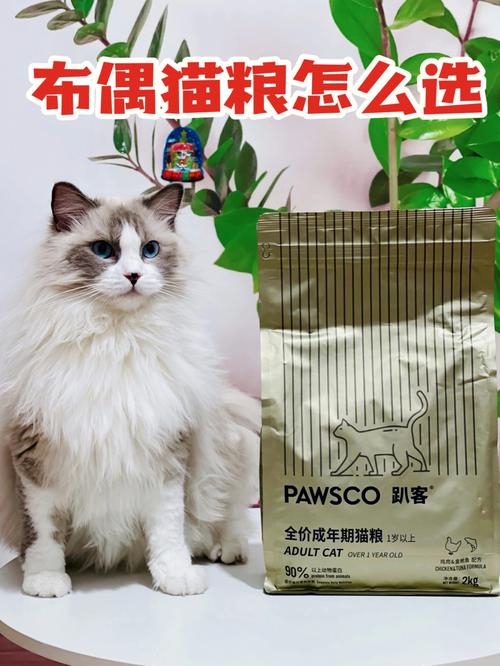 布偶猫粮什么牌子的好，布偶猫粮什么牌子的好吃