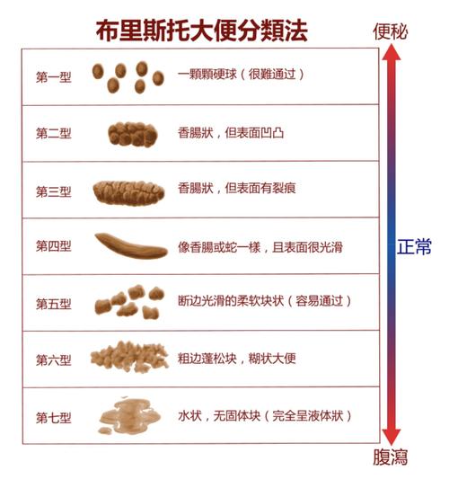 加菲猫拉稀粑粑怎么办，加菲猫拉稀怎么回事