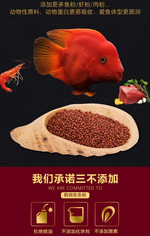 热带观赏鱼吃多少饲料，热带观赏鱼吃多少饲料合适