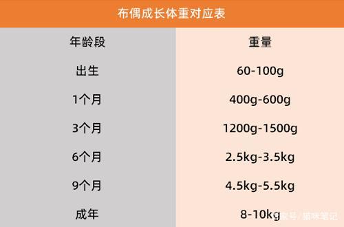 成年布偶猫标准体重，成年布偶猫多少斤