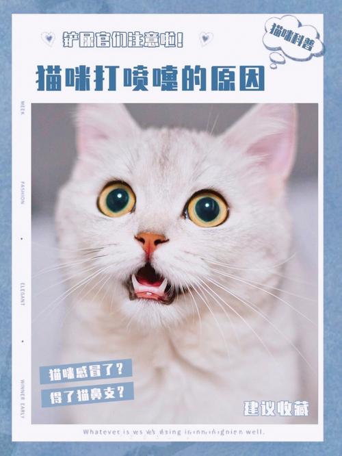 2个月的暹罗猫打喷嚏怎么办，两个月大的猫咪打喷嚏是感冒了吗