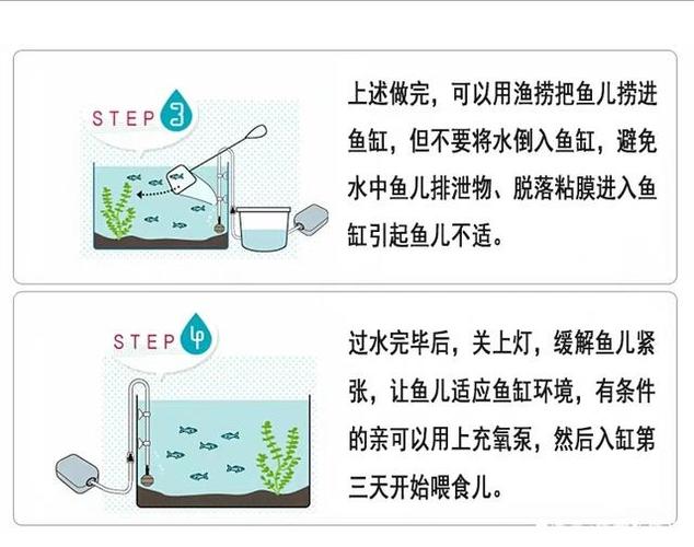 热带鱼怎么换水技巧冬季，热带鱼换水怎么快速加热