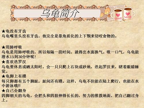 乌龟的寿命为什么这么长因为什么，乌龟的寿命为什么那么长?