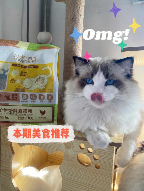 布偶猫吃什么猫粮最好吃，布偶猫吃什么样的猫粮