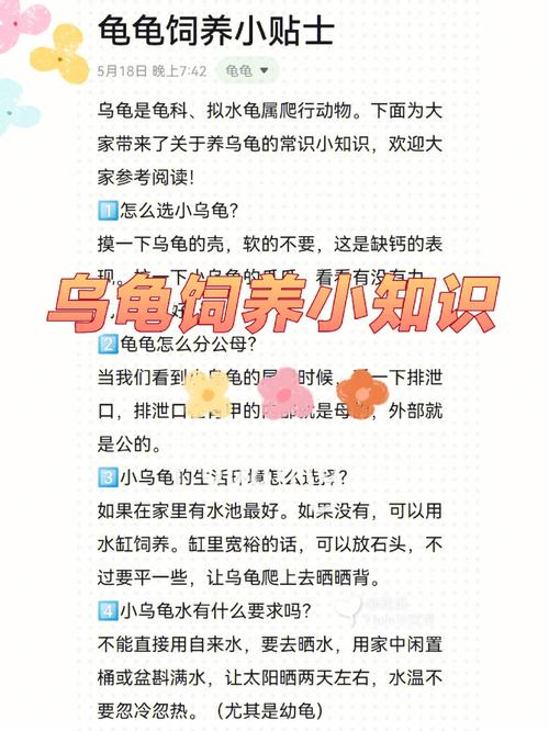 乌龟饲养，乌龟饲养方法和注意事项