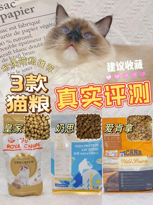 布偶猫专用猫粮应该选哪种，布偶猫专用猫粮应该选哪种比较好