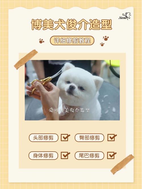 怎么帮博美犬美容?美瞳，博美狗狗美容教程