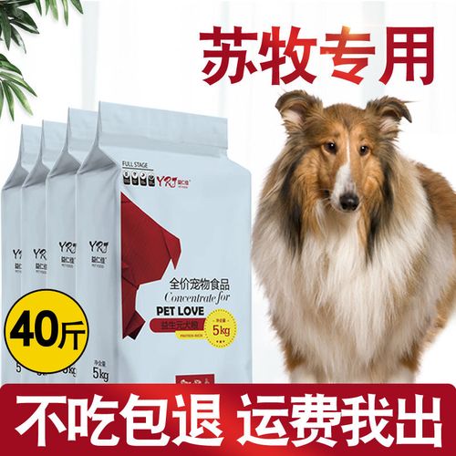 苏格兰牧羊犬吃什么狗粮，苏格兰牧羊犬食量大吗?