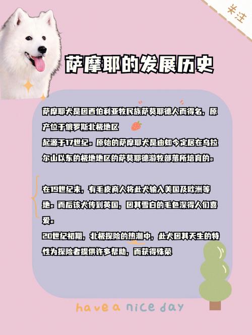 饲养萨摩耶犬的十大要求是什么，饲养萨摩耶的方法及注意事项