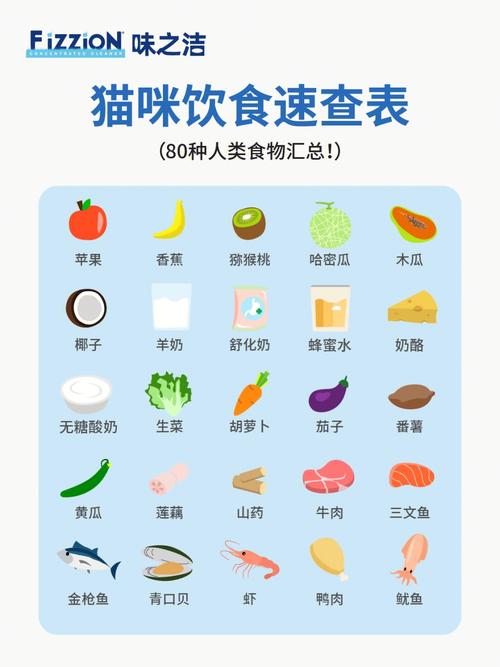 暹罗猫可以的10种食物一起吃吗，暹罗猫适合吃什么猫粮