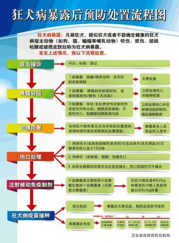 折耳猫发病治疗办法，折耳猫发病症状怎么缓解