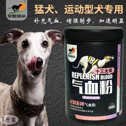 比特犬喂养，比特犬喂养方法