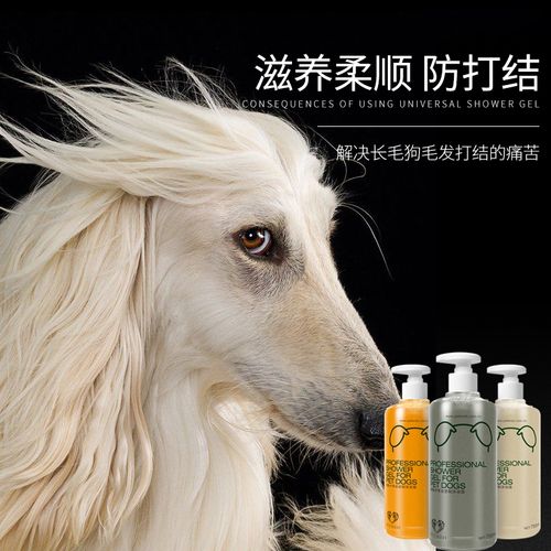 苏格兰牧羊犬洗澡，苏格兰牧羊犬用什么驱虫药