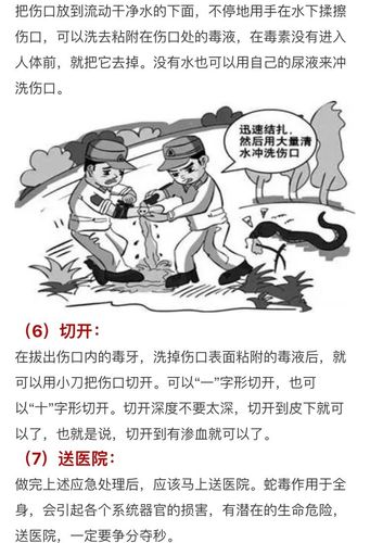 被毒蛇伤常见并发症及急救措施，被毒蛇咬的应急方法