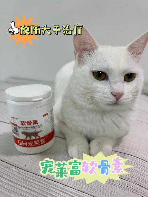 折耳猫呕吐常见原因有哪些，折耳猫吐毛球怎么办