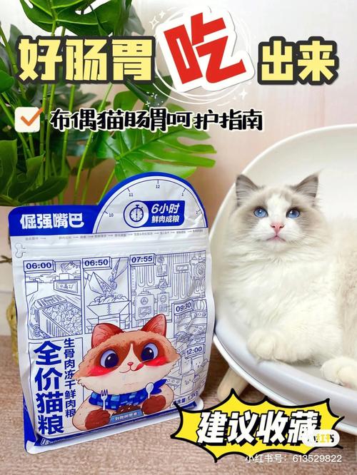 布偶猫猫粮选购方法介绍图片，布偶猫猫粮哪个牌子比较好