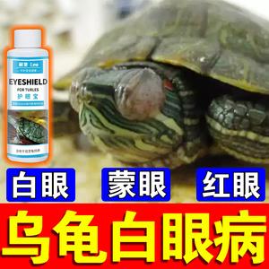 乌龟害眼睛，乌龟害眼睛用什么药