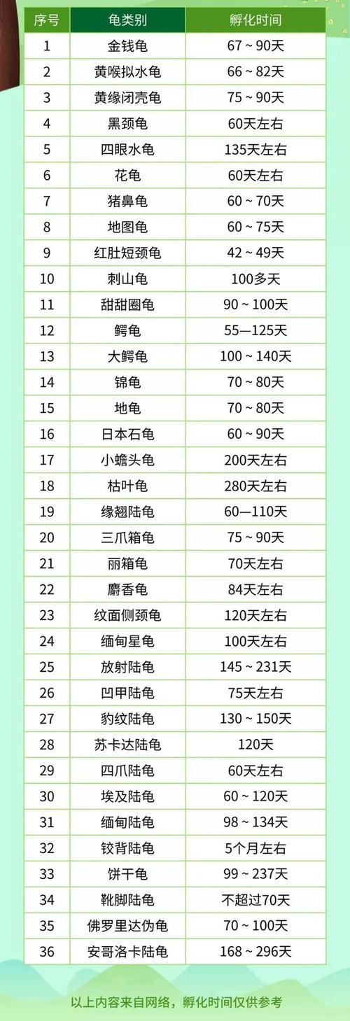 金钱龟孵公苗的时段和温度，金钱龟蛋孵化过程的变化