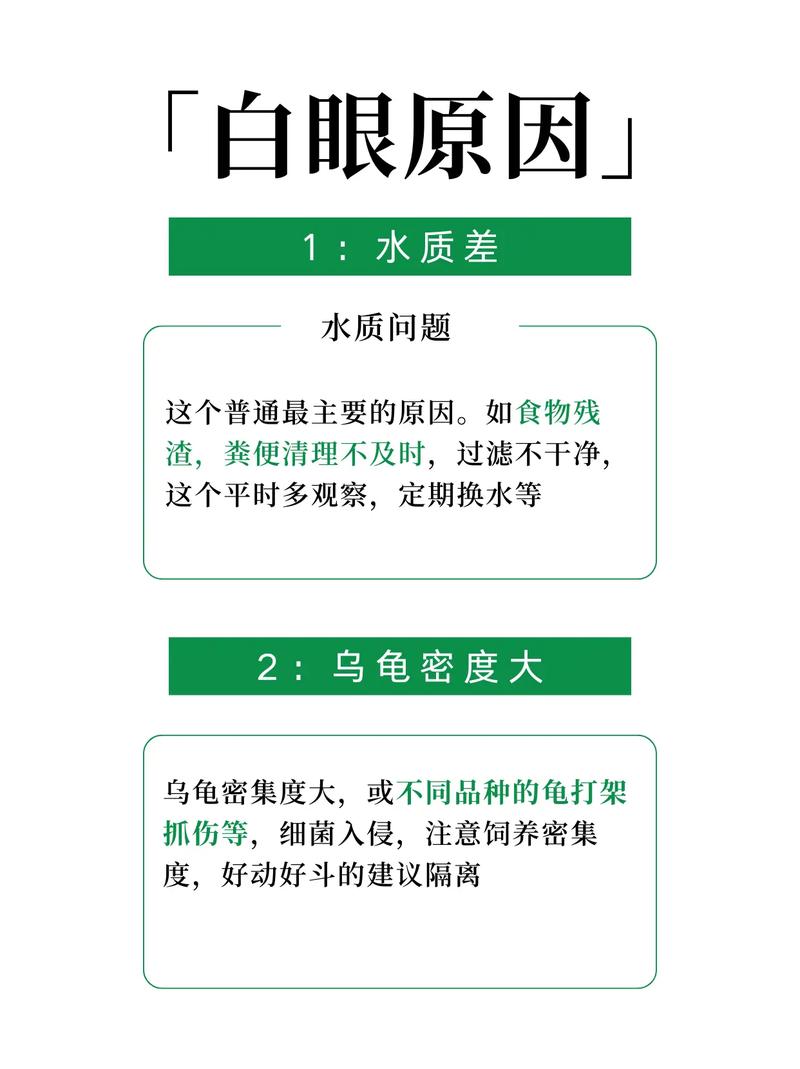 巴西龟饲养视频大全，巴西龟养殖技术视频教程