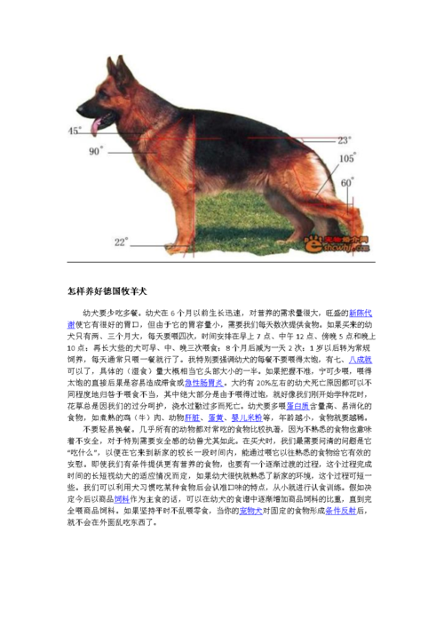 德国牧羊犬训犬，德国牧羊犬的驯养方法