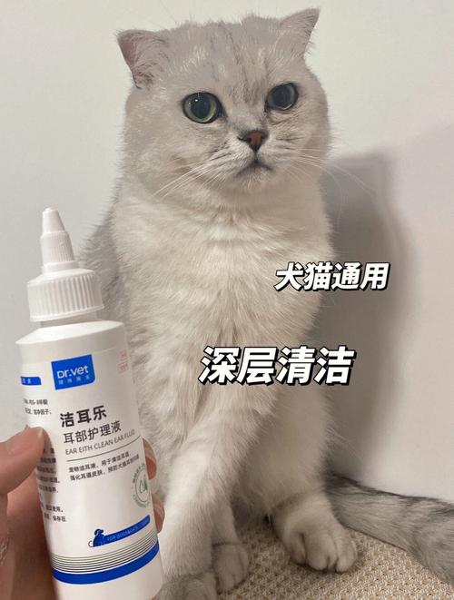 折耳猫耳朵里很多耳屎，折耳猫耳朵里很多耳屎怎么办