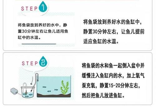 鱼缸换水咋样操作，鱼缸换水流程