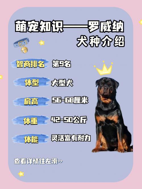 罗威纳犬断尾与不断尾，罗威纳断尾与不断尾的区别