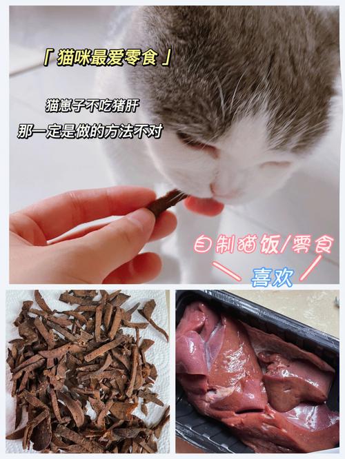 猫咪可不可以吃猪肝，猫咪能不能吃猪肝