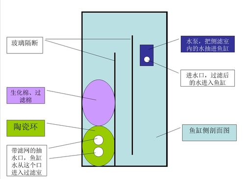 观赏鱼鱼缸过滤装置简图，观赏鱼鱼缸图片