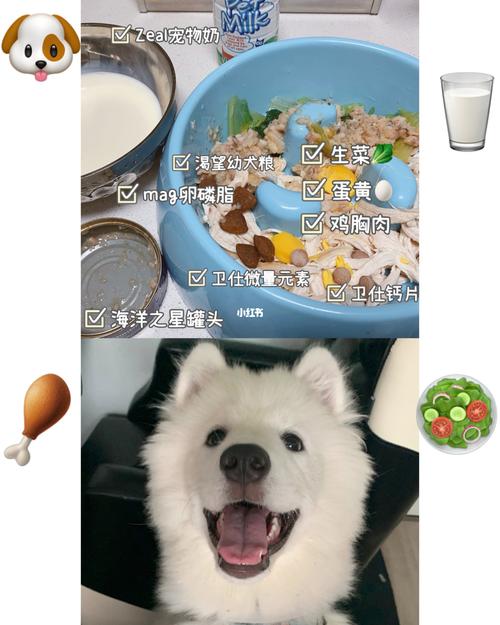 萨摩耶的狗粮制作方法视频，萨摩耶犬粮