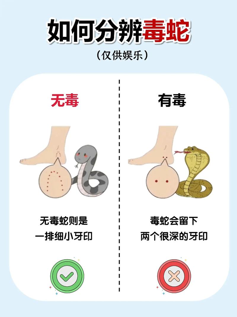 怎样判断蛇是不是毒蛇，怎样辨认蛇是否有毒