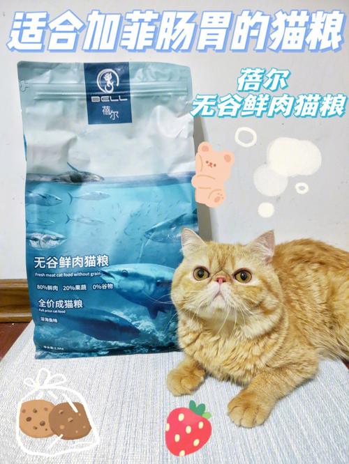 加菲猫吃哪款猫粮好，加菲猫吃的猫粮推荐