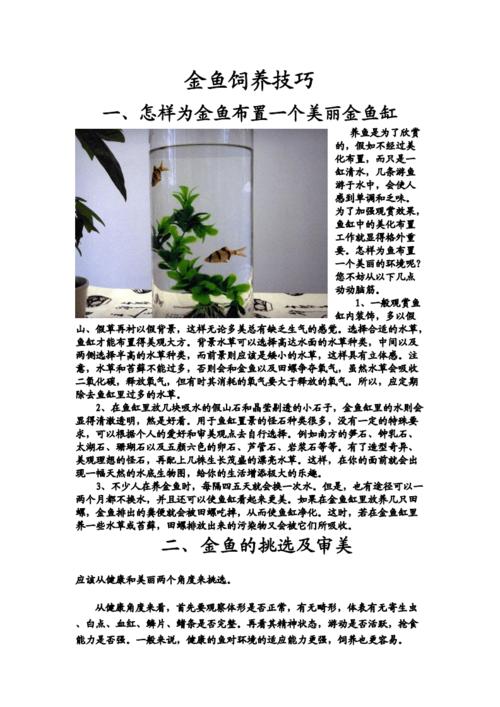 草金鱼养殖注意事项，草金鱼养殖视频教程