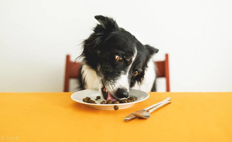 牧羊犬吃什么最好，牧羊犬喂什么食物