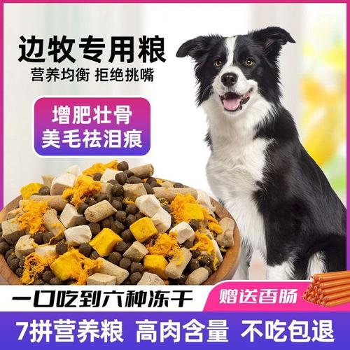 牧羊犬喜欢吃什么及狗粮好，牧羊犬喜欢吃啥