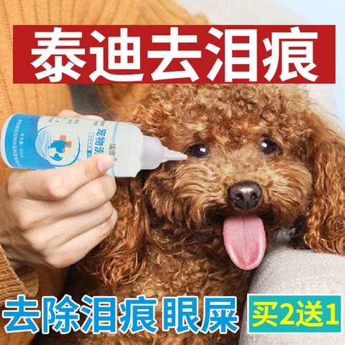 泰迪犬眼泪多怎么办，泰迪犬眼泪多怎么办吃什么药