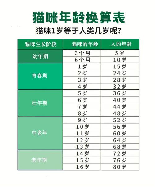 怎么判断暹罗猫的年龄，怎么辨别暹罗猫几岁