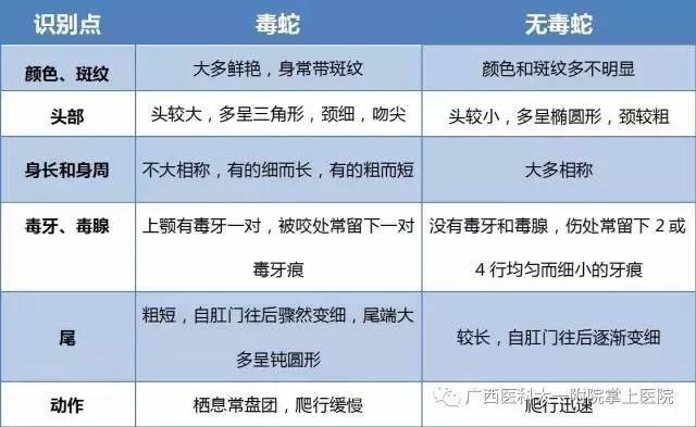 怎样区分蛇是否有毒，怎么区分蛇有没有毒