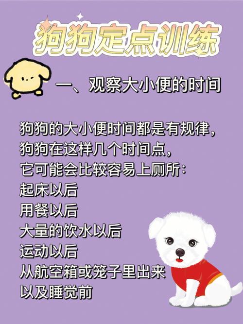 马犬幼犬期间如何训练拉屎，马犬幼犬怎么训练大小便